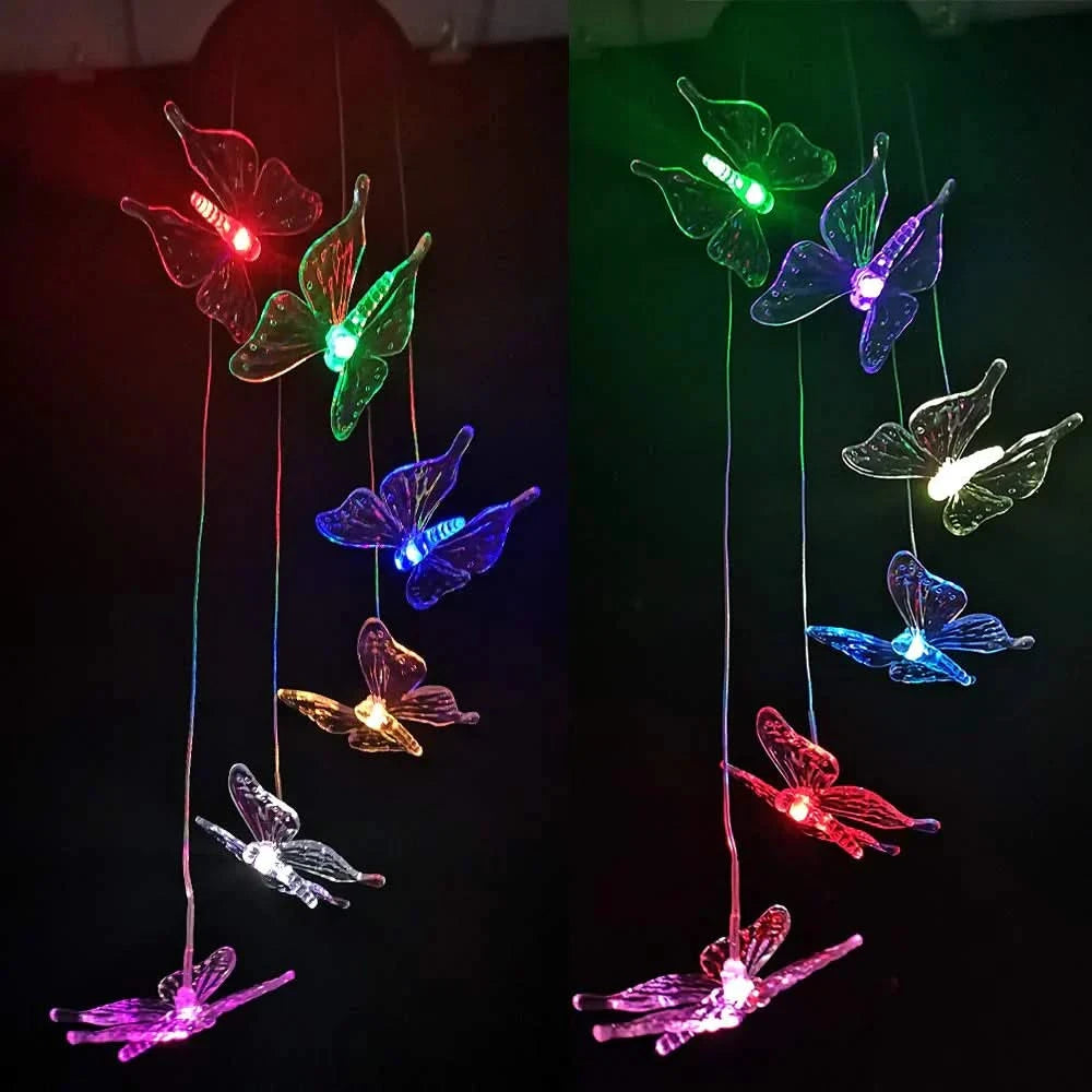 Aile Solaire - Lampes décoratives