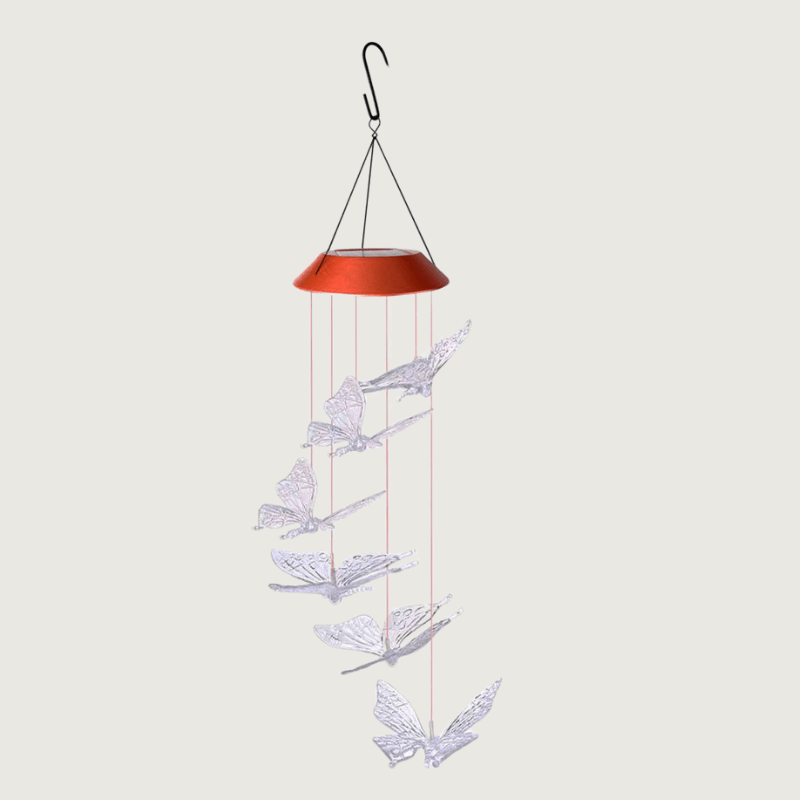 Aile Solaire - Lampes décoratives