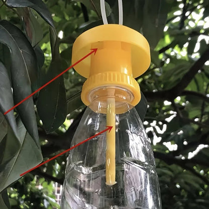 Piège à Mouches des Fruits avec Couverture Suspendue