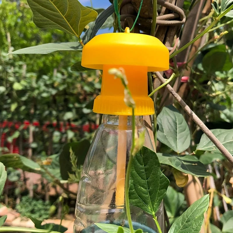 Piège à Mouches des Fruits avec Couverture Suspendue
