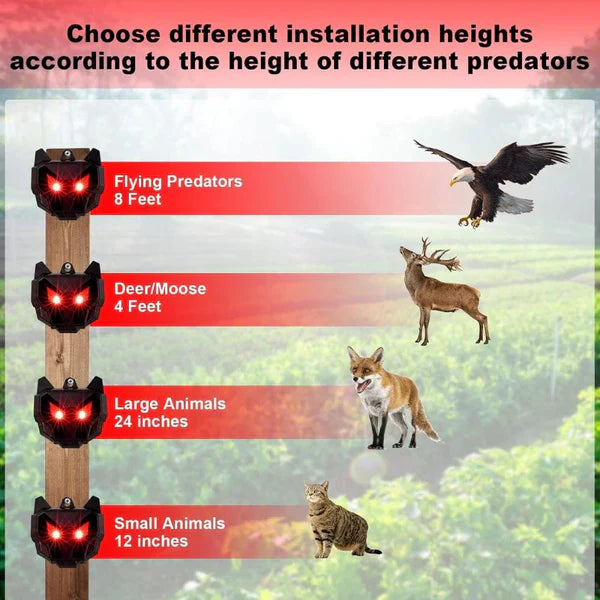 Répulsif pour Animaux Nocturnes à Énergie Solaire 2PCS