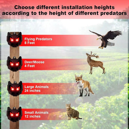 Répulsif pour Animaux Nocturnes à Énergie Solaire 2PCS