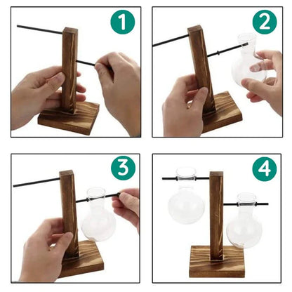 Vase Hydroponique en Cadre en Bois