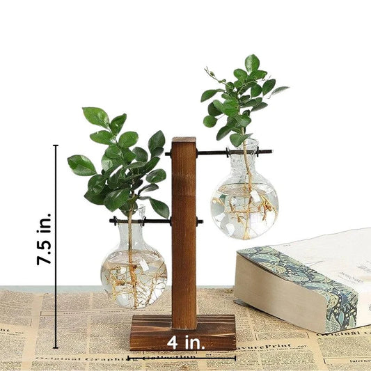 Vase Hydroponique en Cadre en Bois