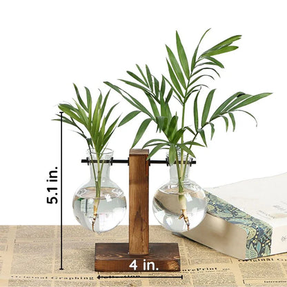 Vase Hydroponique en Cadre en Bois