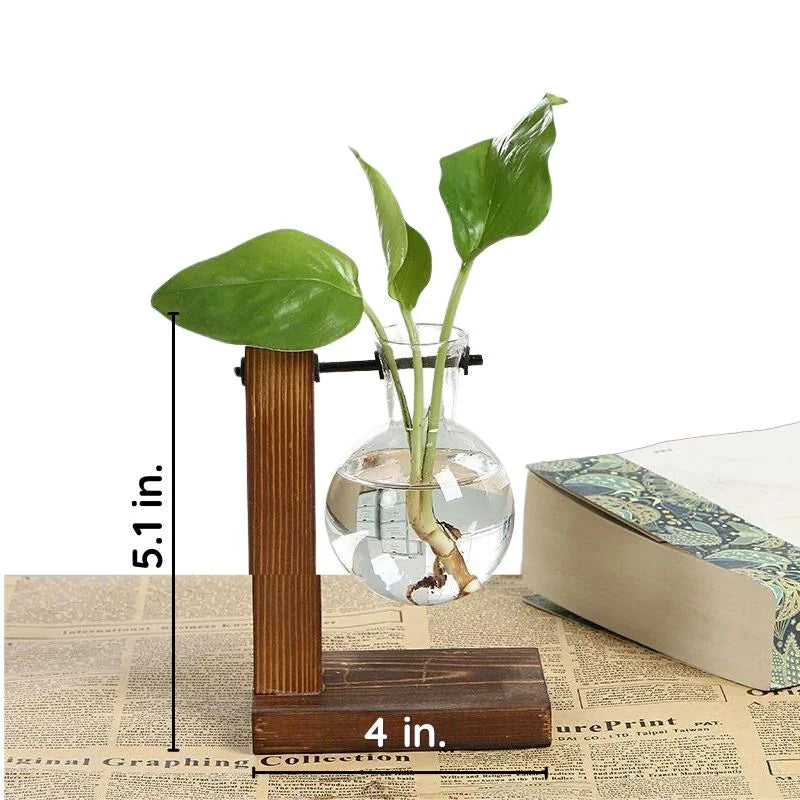 Vase Hydroponique en Cadre en Bois