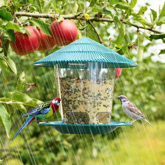 Mangeoire suspendue pour oiseaux avec distributeur automatique de graines