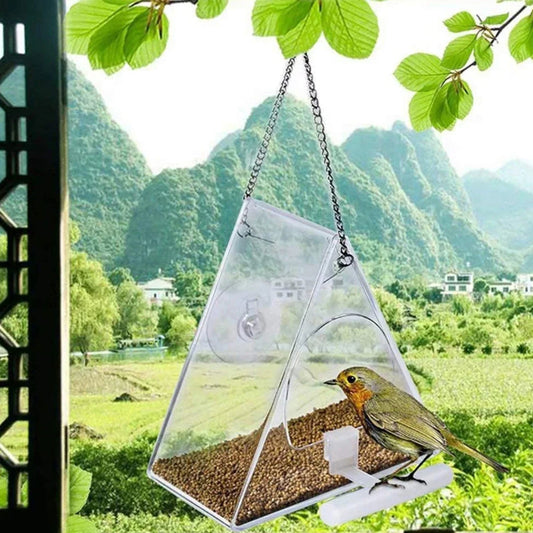 Nourrisseur à oiseaux suspendu en acrylique transparent pour jardin extérieur
