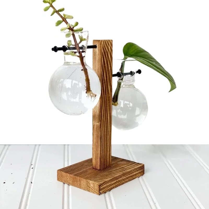 Vase Hydroponique en Cadre en Bois