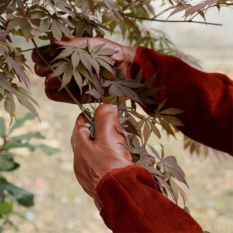 Gants de Jardin Multifonctionnels