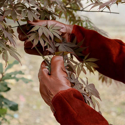 Gants de Jardin Multifonctionnels
