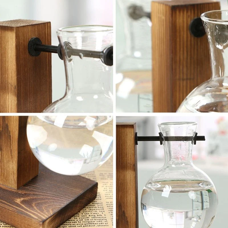 Vase Hydroponique en Cadre en Bois