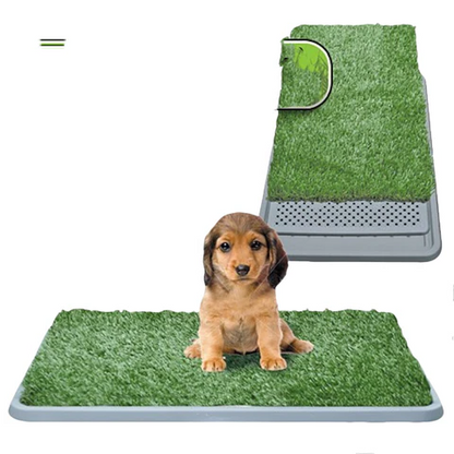 Herbe Intérieure