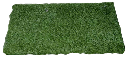 Herbe Intérieure