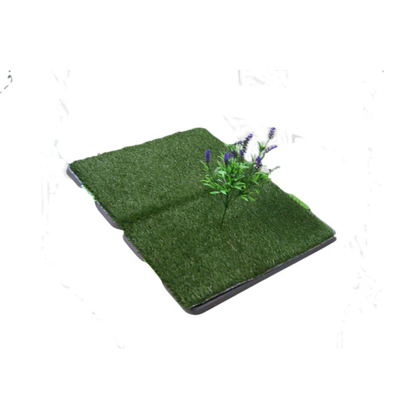 Herbe Intérieure
