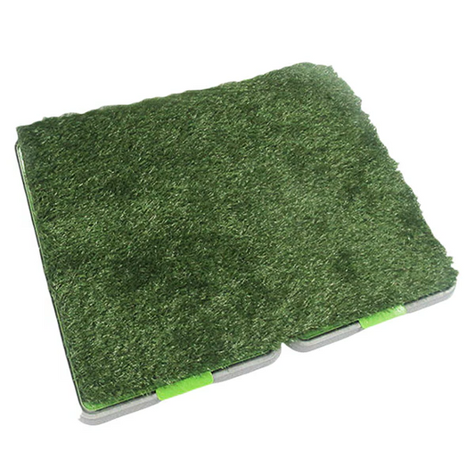 Herbe Intérieure